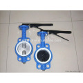 demo butterfly valve with cast iron body